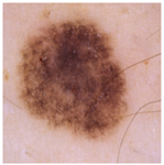 Jimaging 11 00235 i001