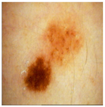 Jimaging 11 00235 i002