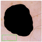 Jimaging 11 00235 i004