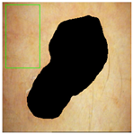 Jimaging 11 00235 i005