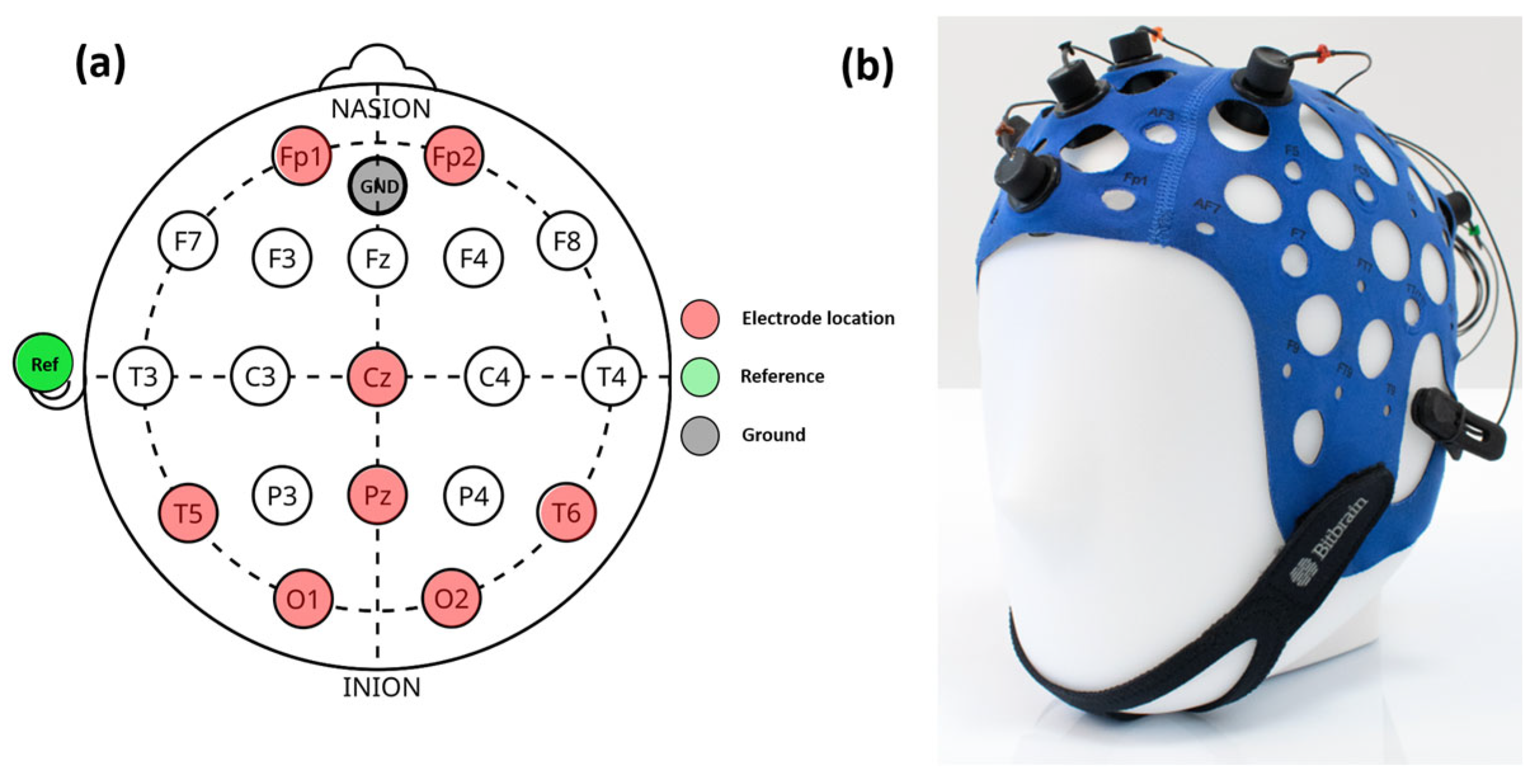 Jimaging 11 00237 g001