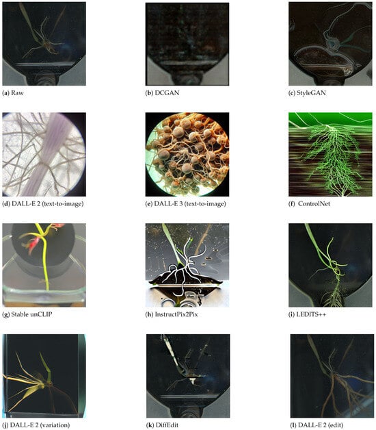 Jimaging 11 00252 g021