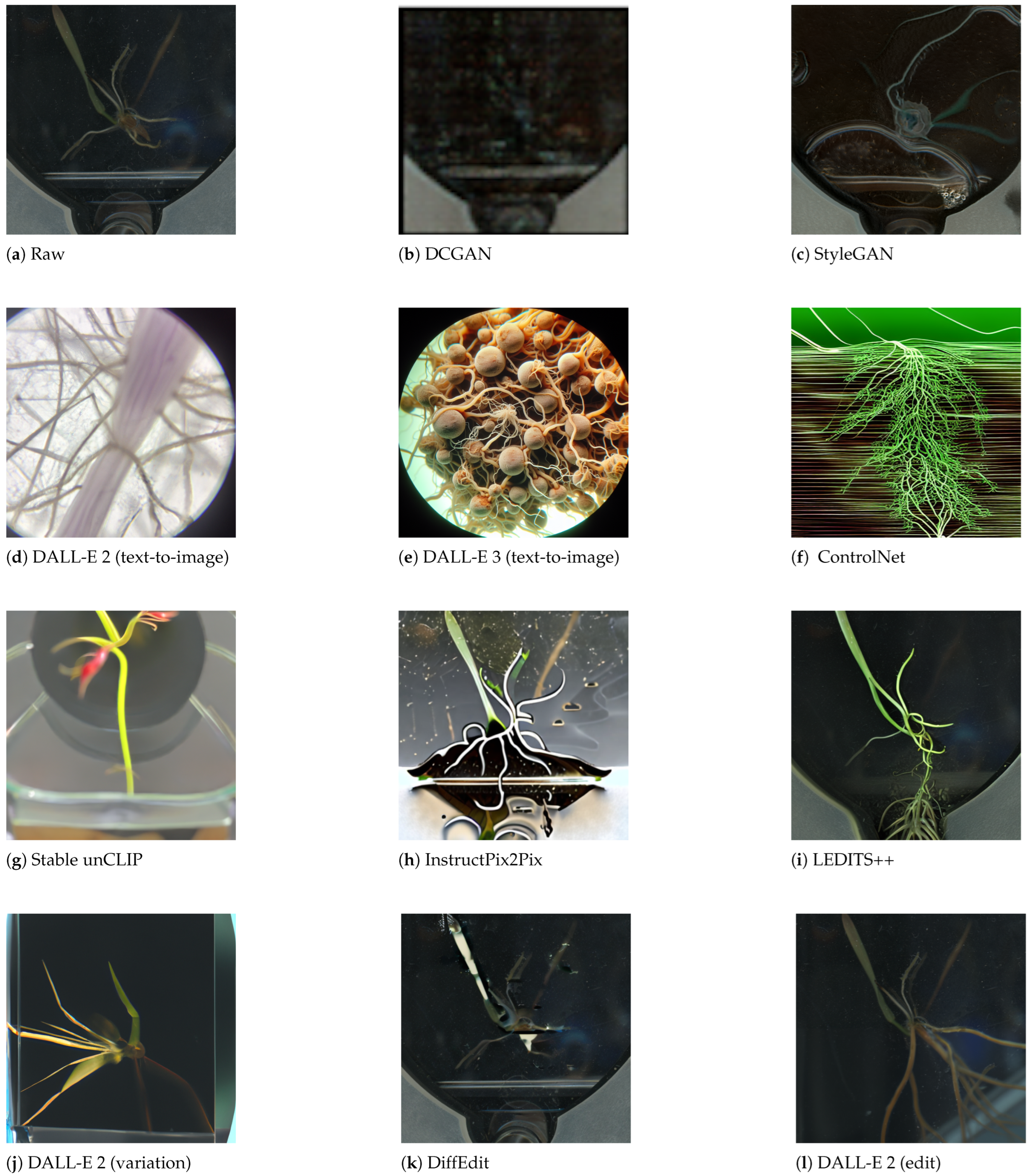 Jimaging 11 00252 g021