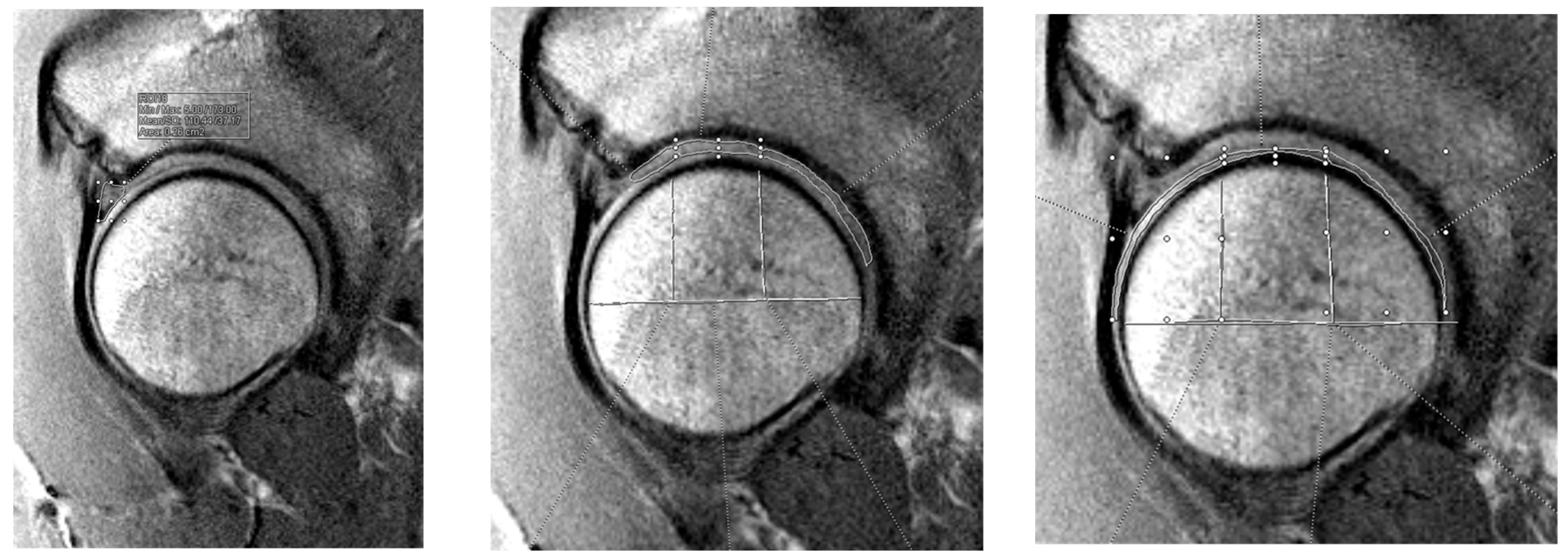 Jimaging 11 00261 g002