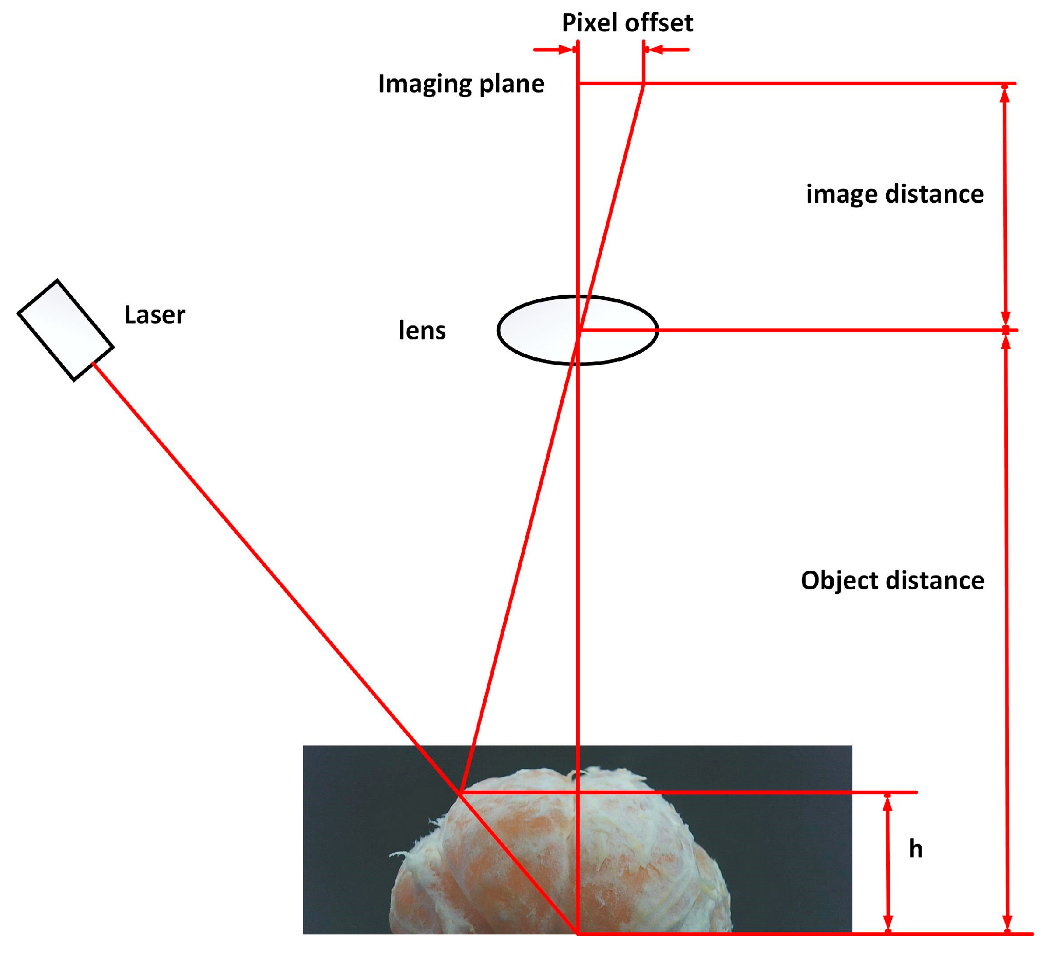 Jimaging 11 00265 g002