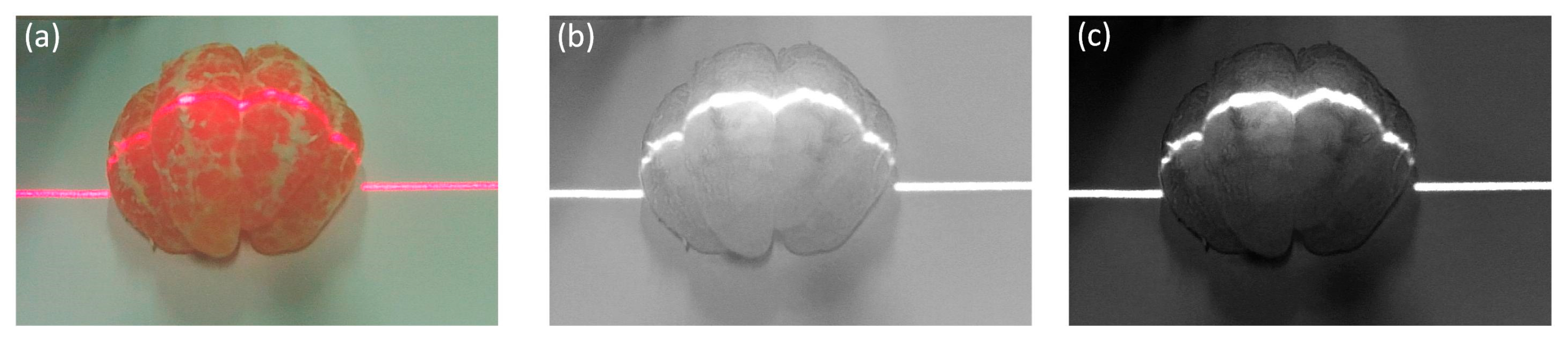 Jimaging 11 00265 g005