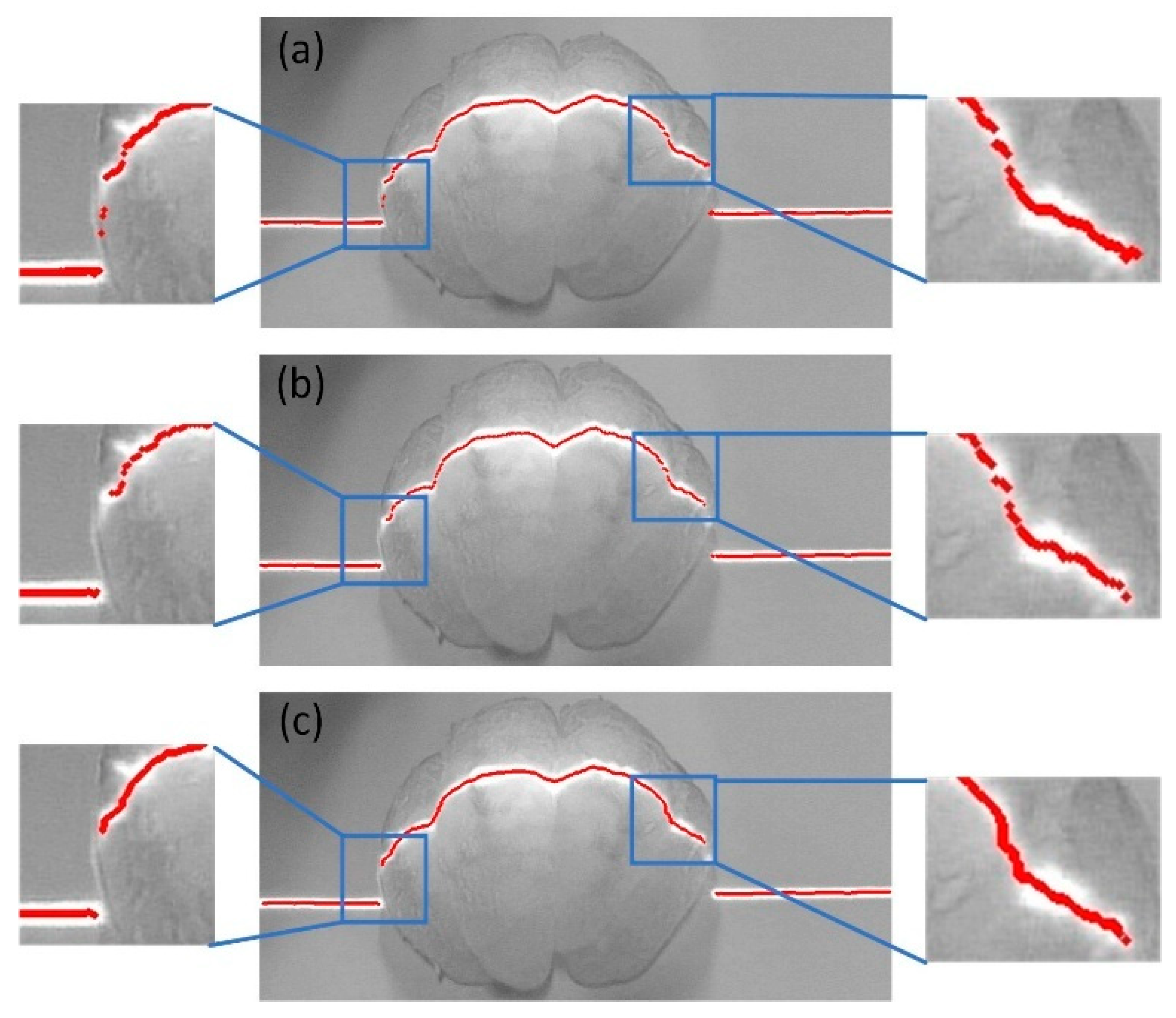 Jimaging 11 00265 g010
