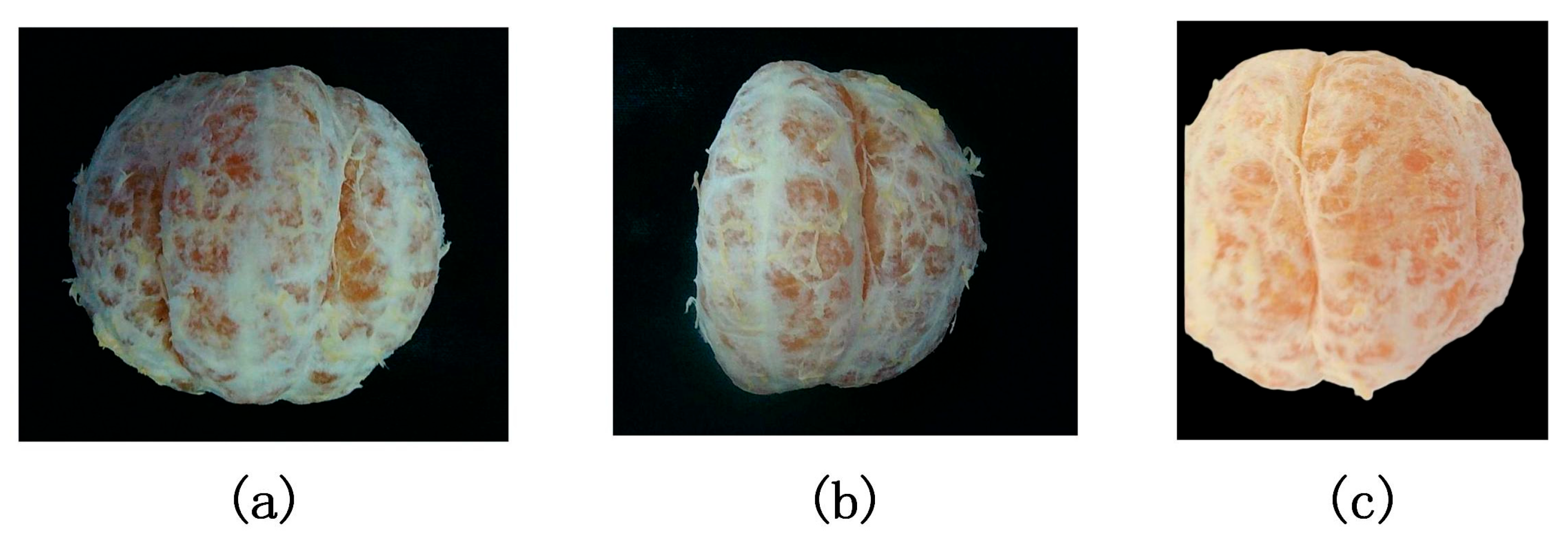 Jimaging 11 00265 g015