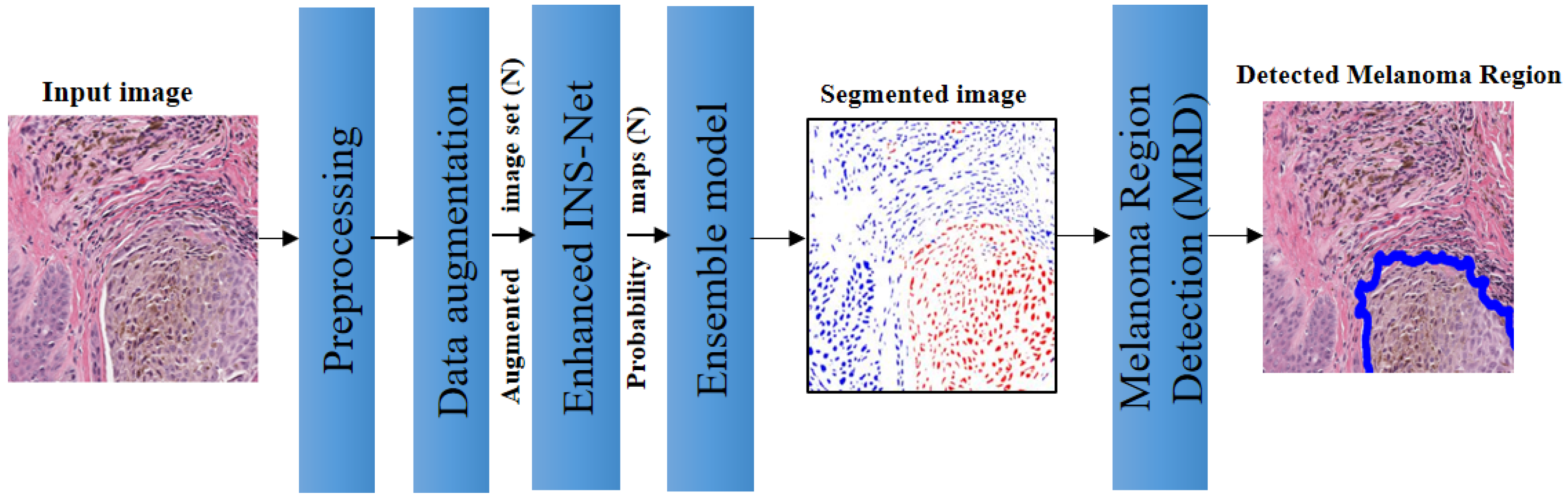 Jimaging 11 00274 g001