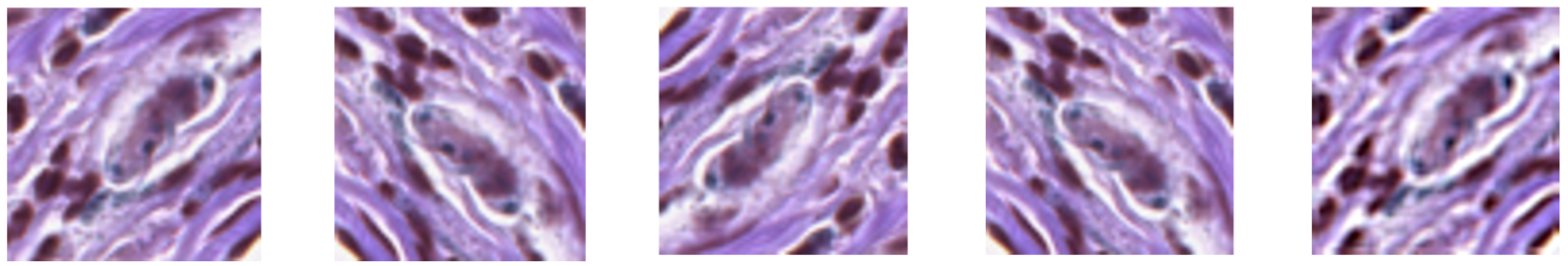 Jimaging 11 00274 g003