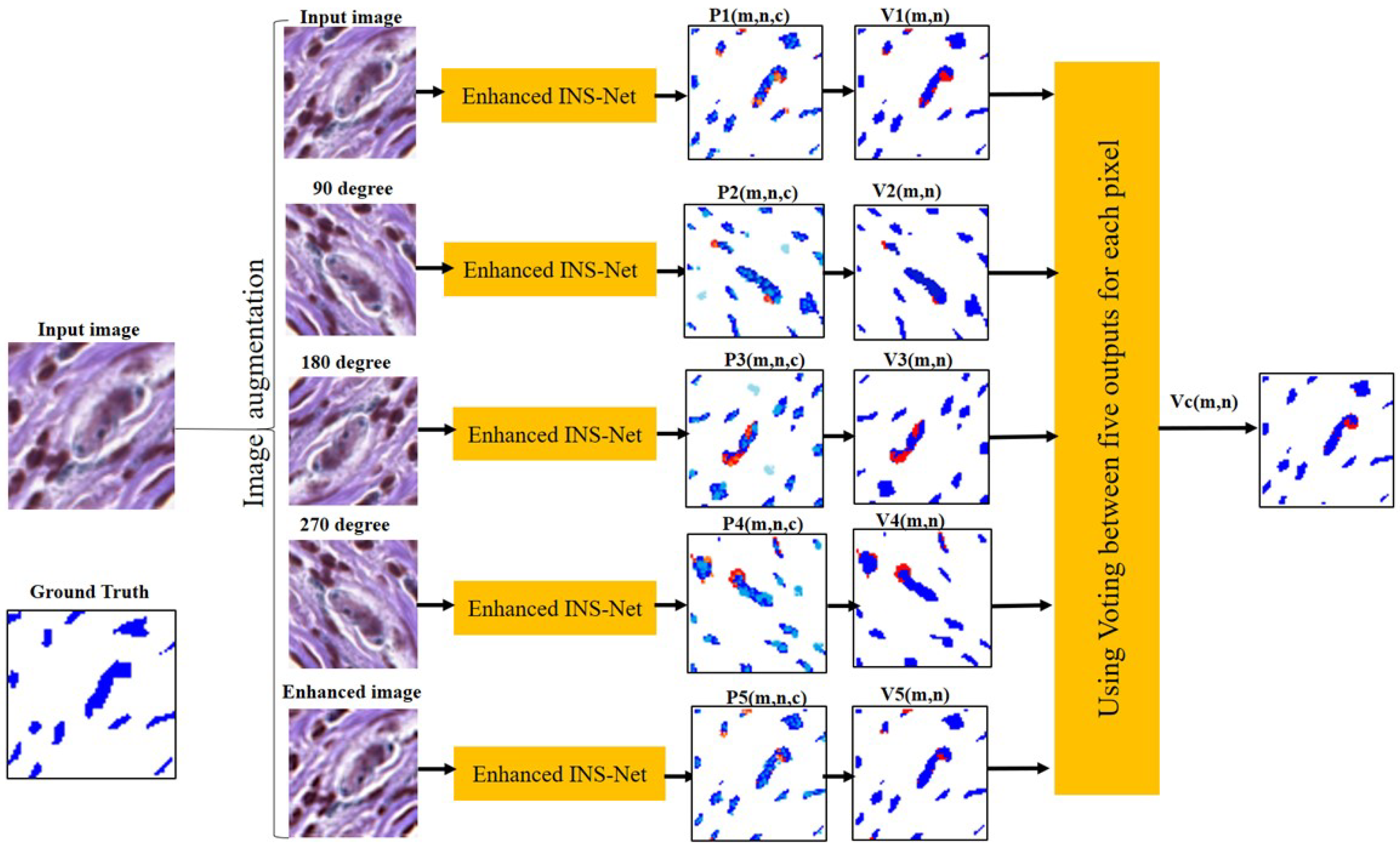 Jimaging 11 00274 g005