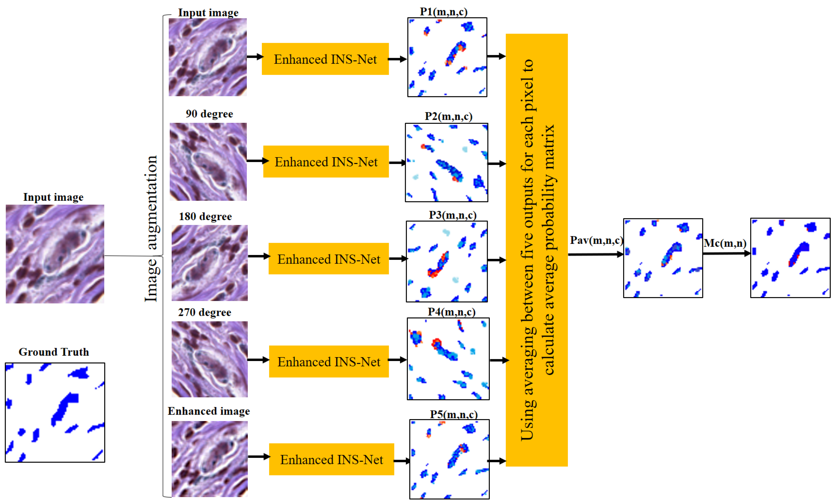 Jimaging 11 00274 g006