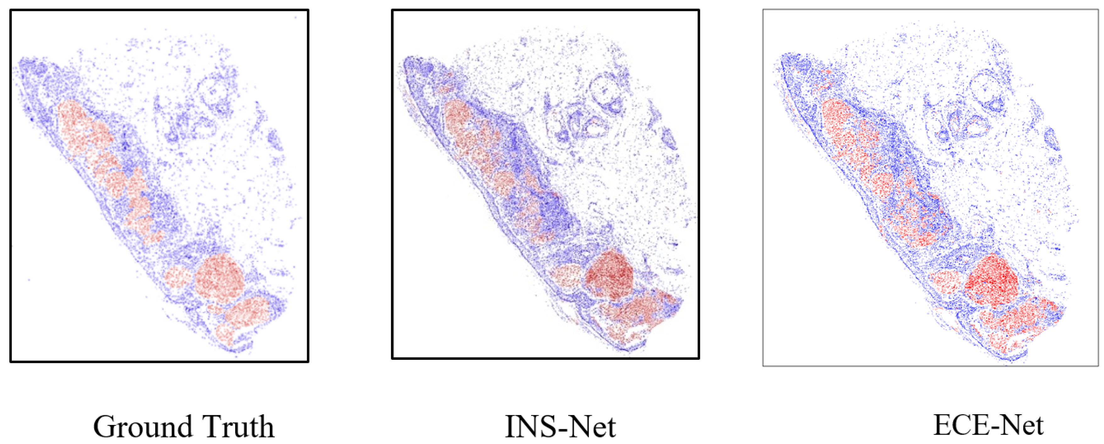 Jimaging 11 00274 g007