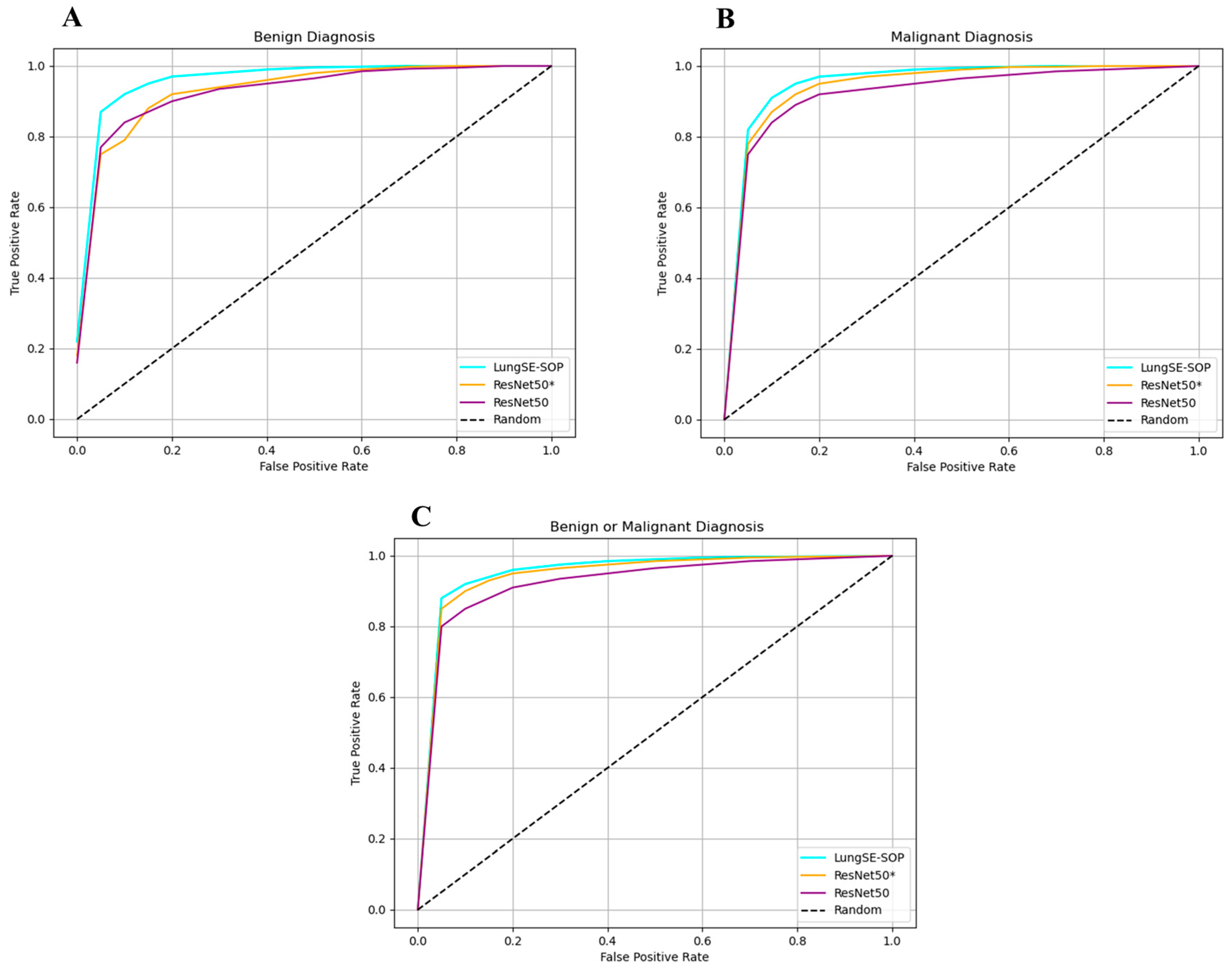 Jimaging 11 00283 g010