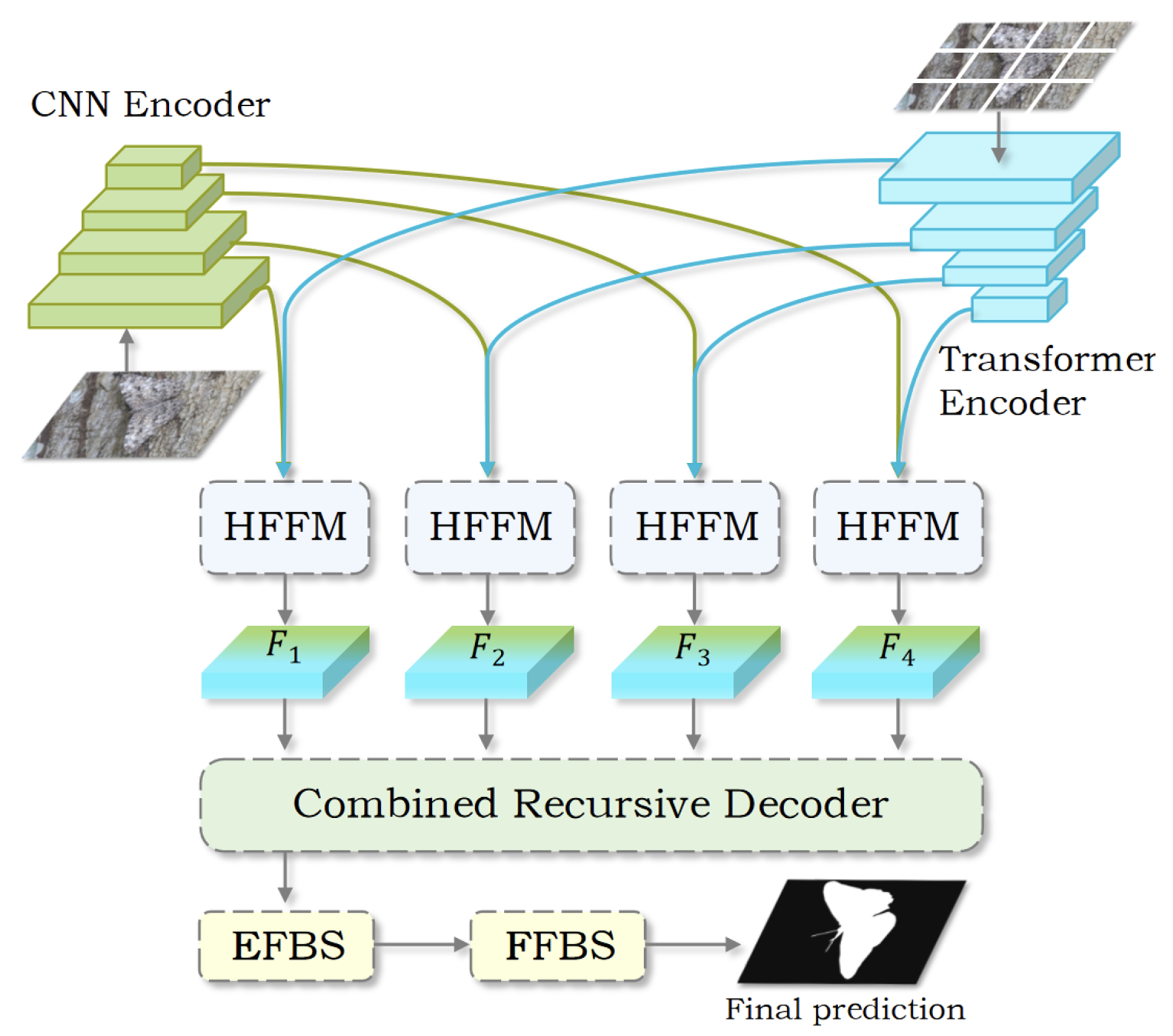 Jimaging 11 00299 g002