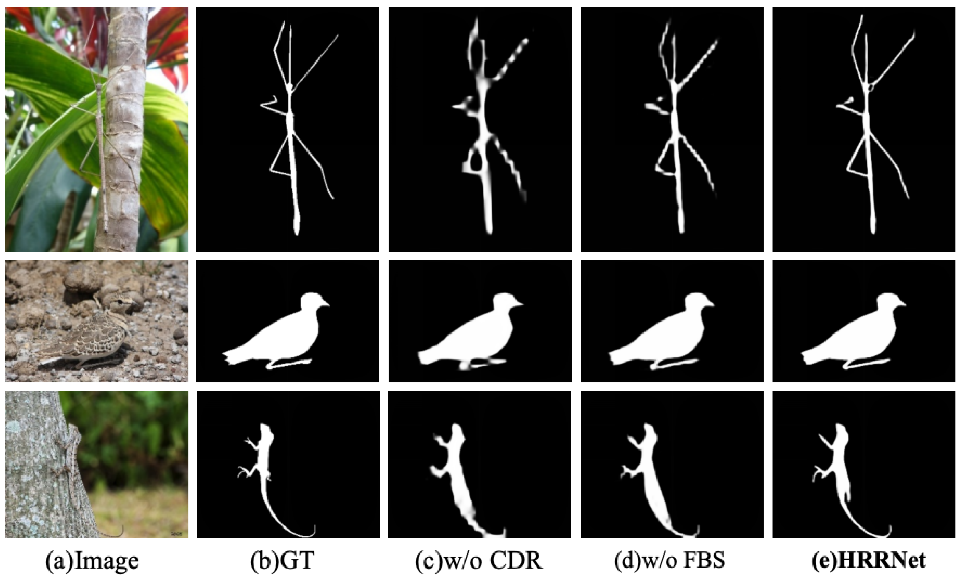 Jimaging 11 00299 g009