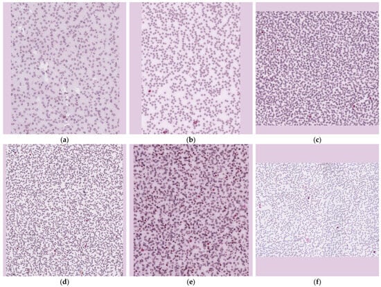 Jimaging 11 00309 g0a2