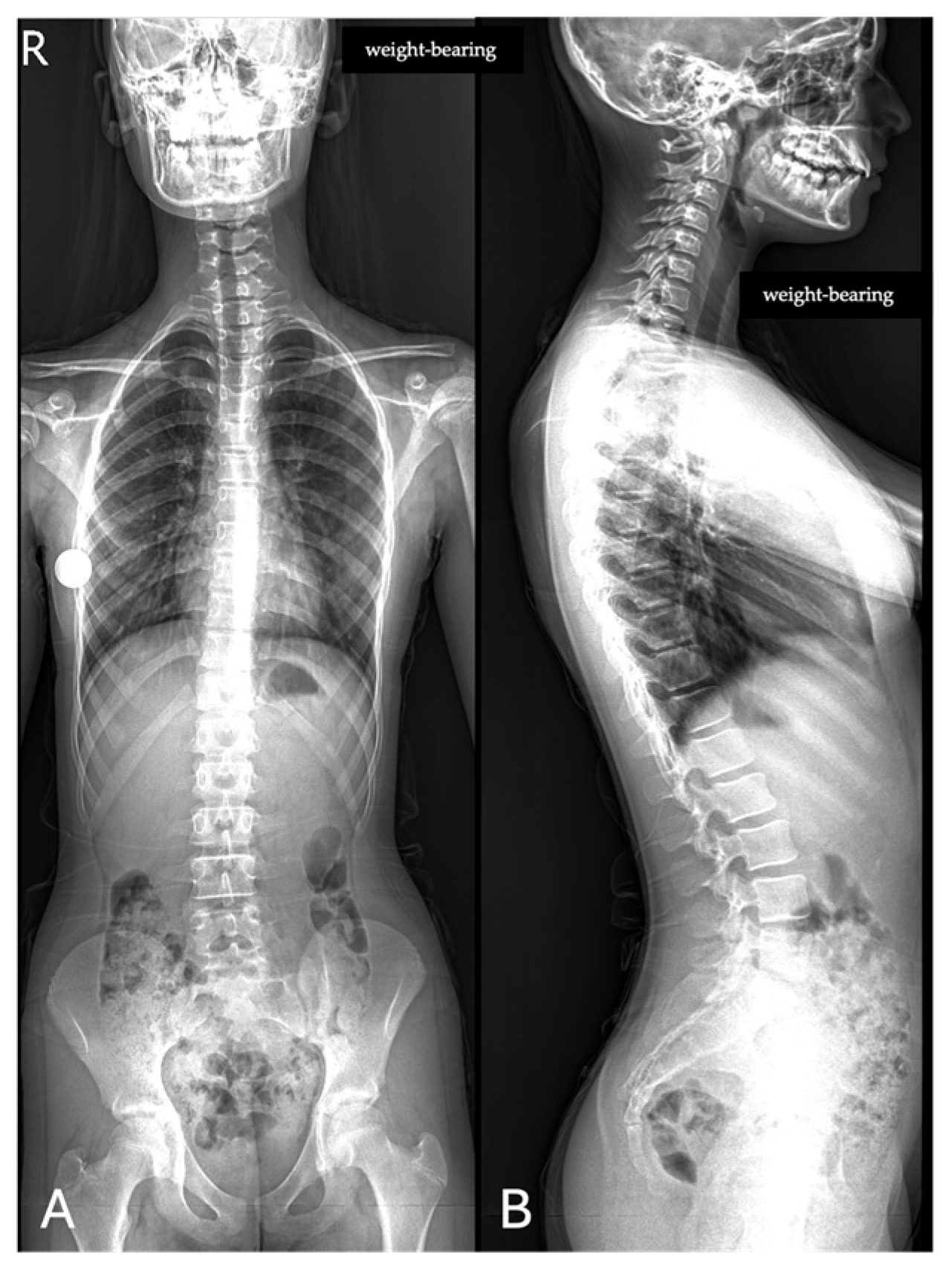 Jimaging 11 00310 g001