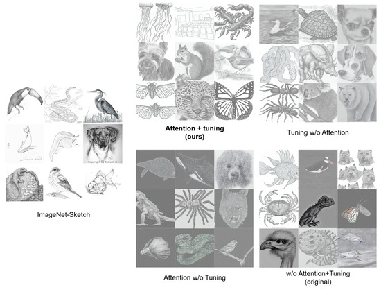 Jimaging 11 00323 g003