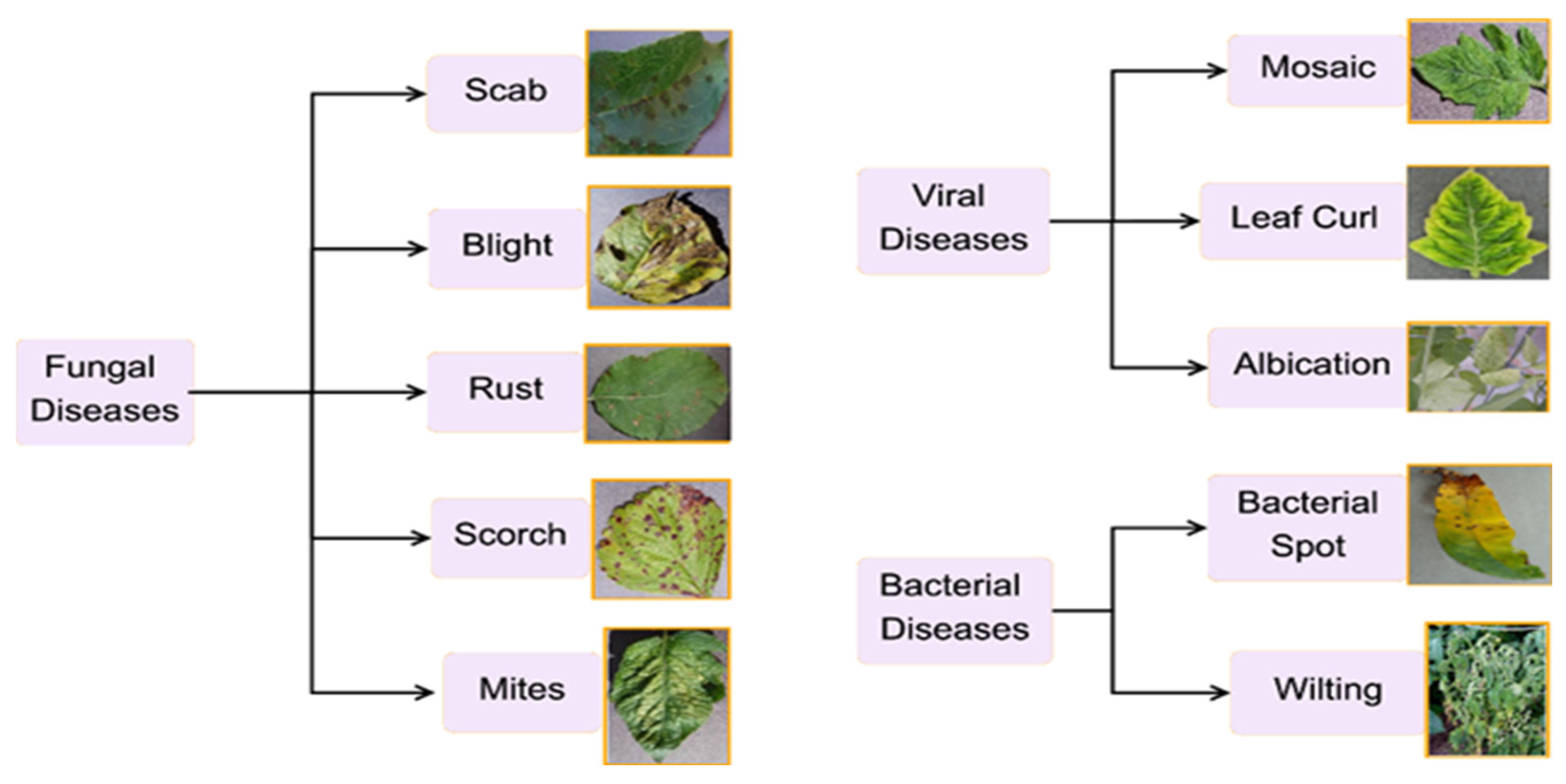 Jimaging 11 00326 g001