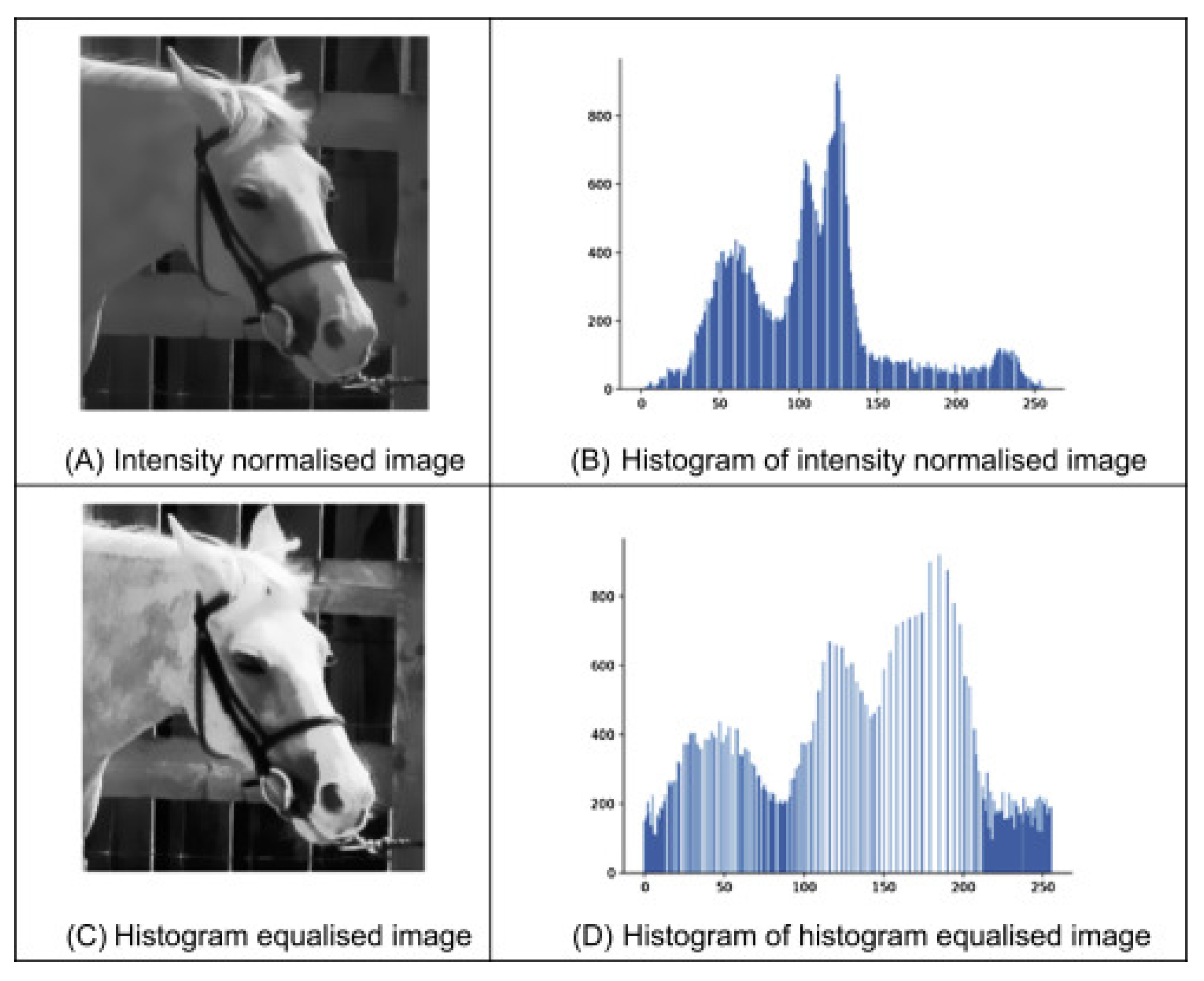 Jimaging 11 00326 g004