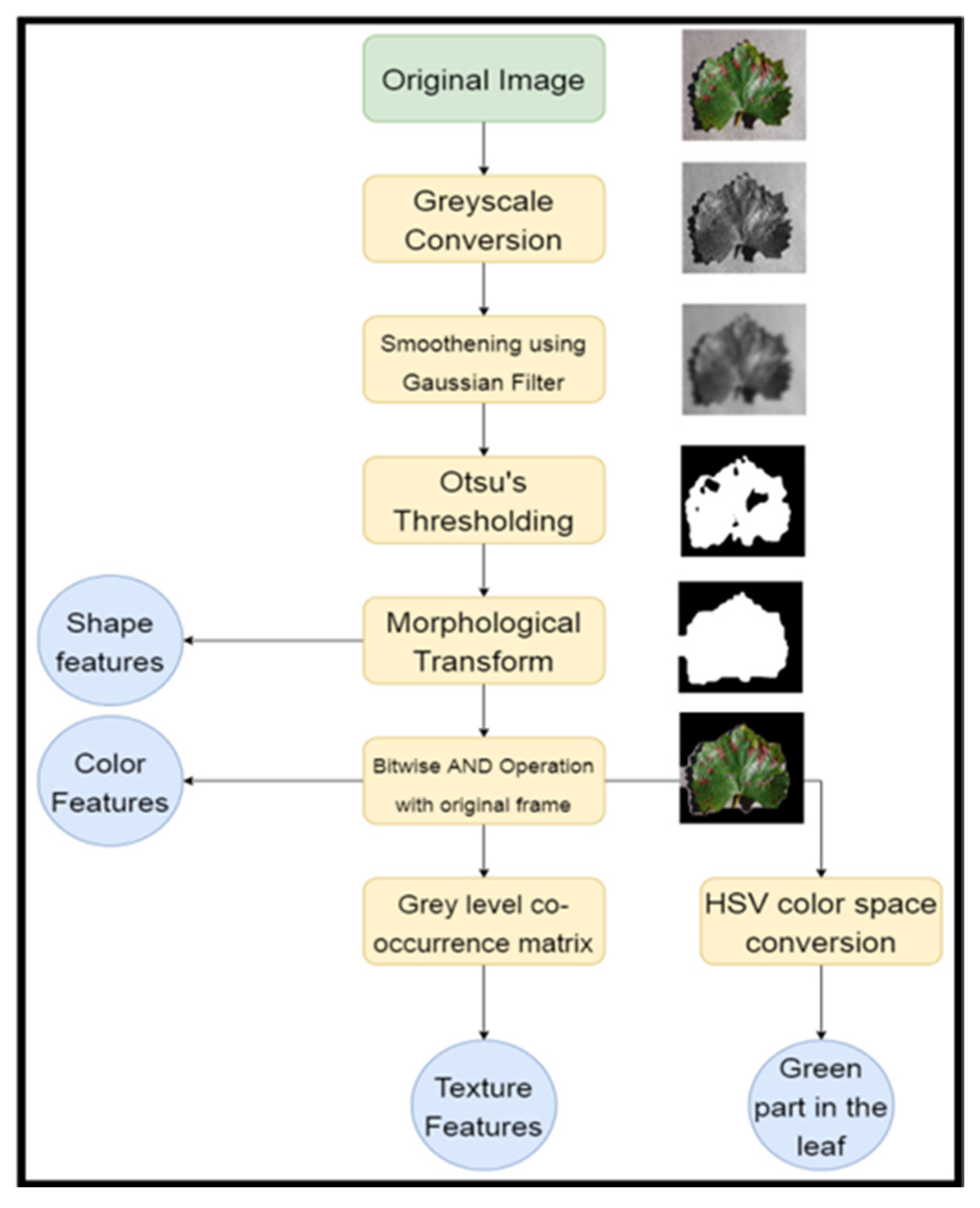 Jimaging 11 00326 g005
