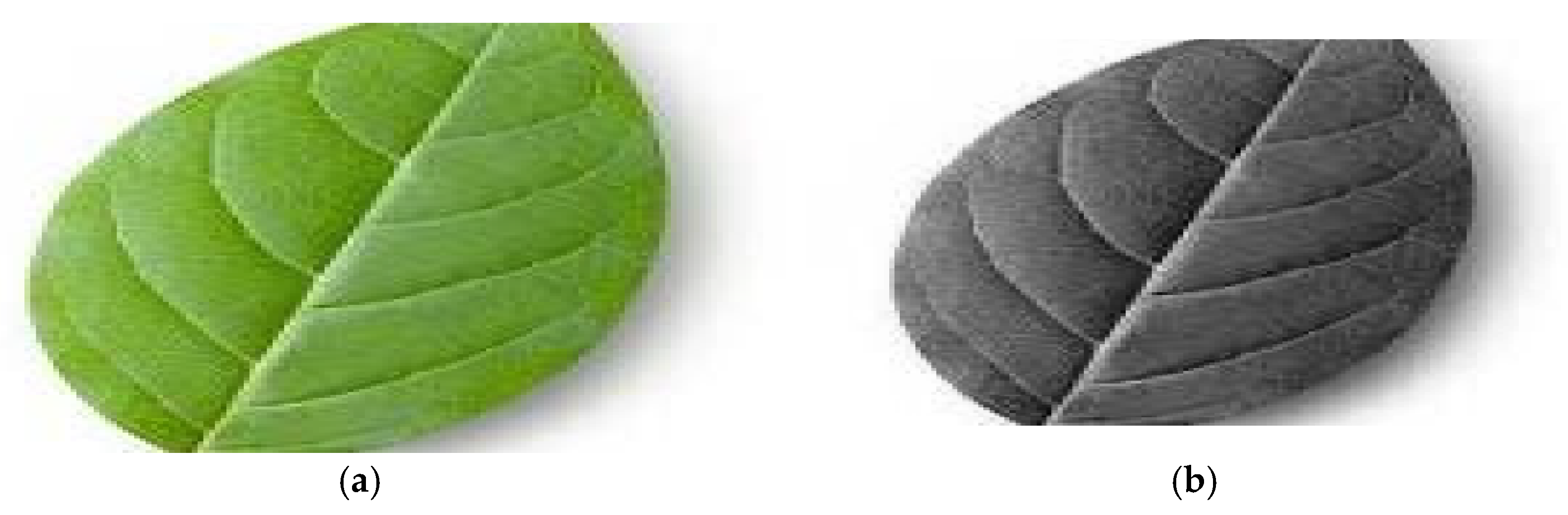 Jimaging 11 00326 g006