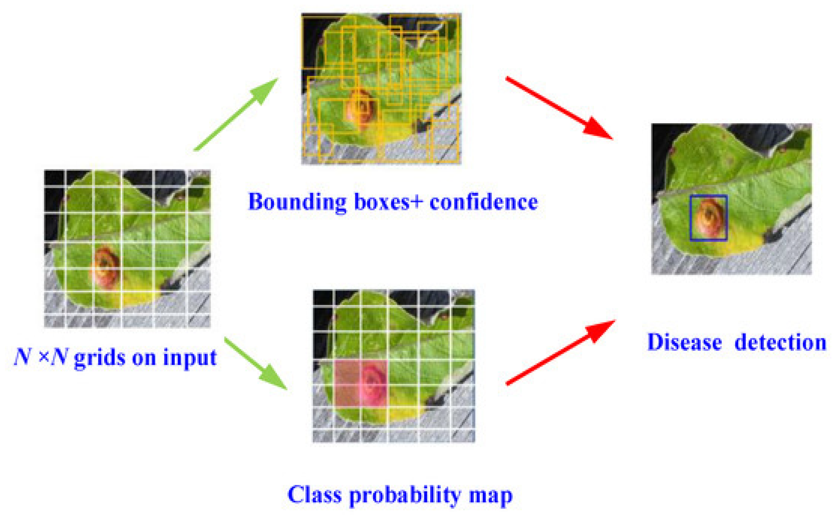 Jimaging 11 00326 g015