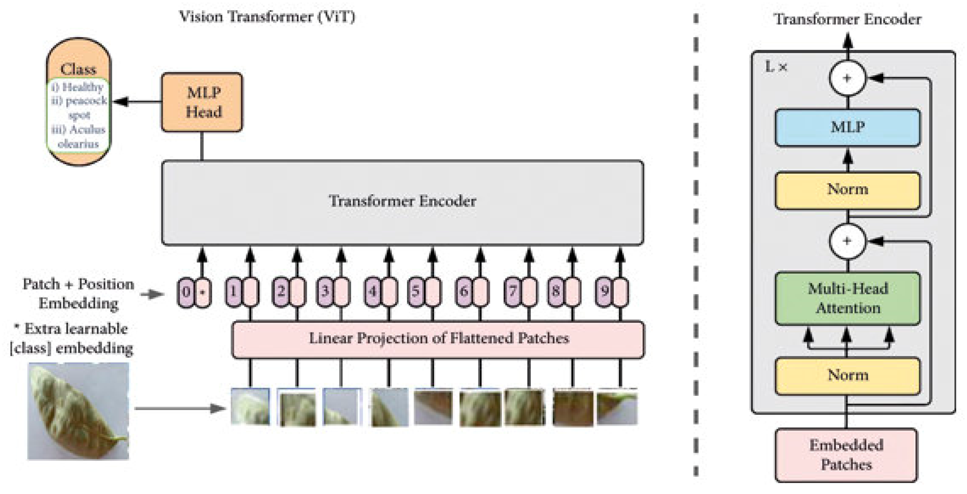 Jimaging 11 00326 g019