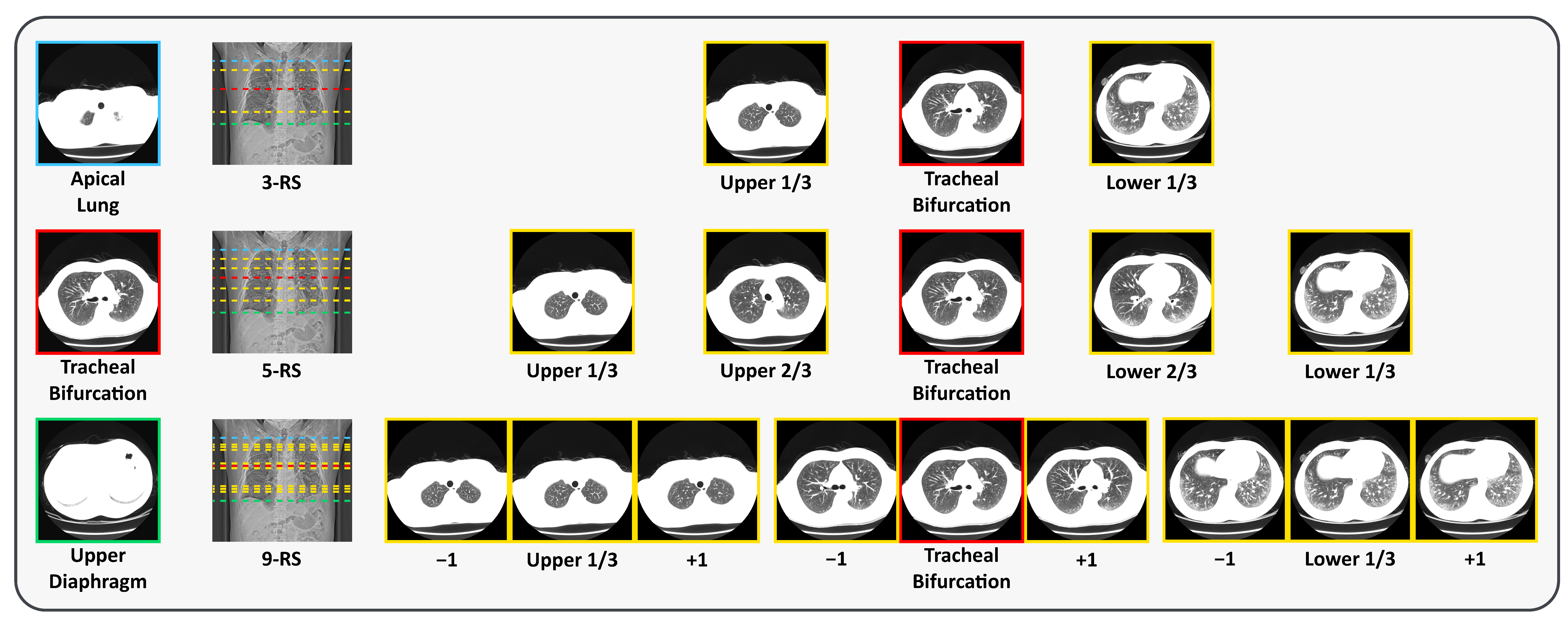 Jimaging 11 00353 g002