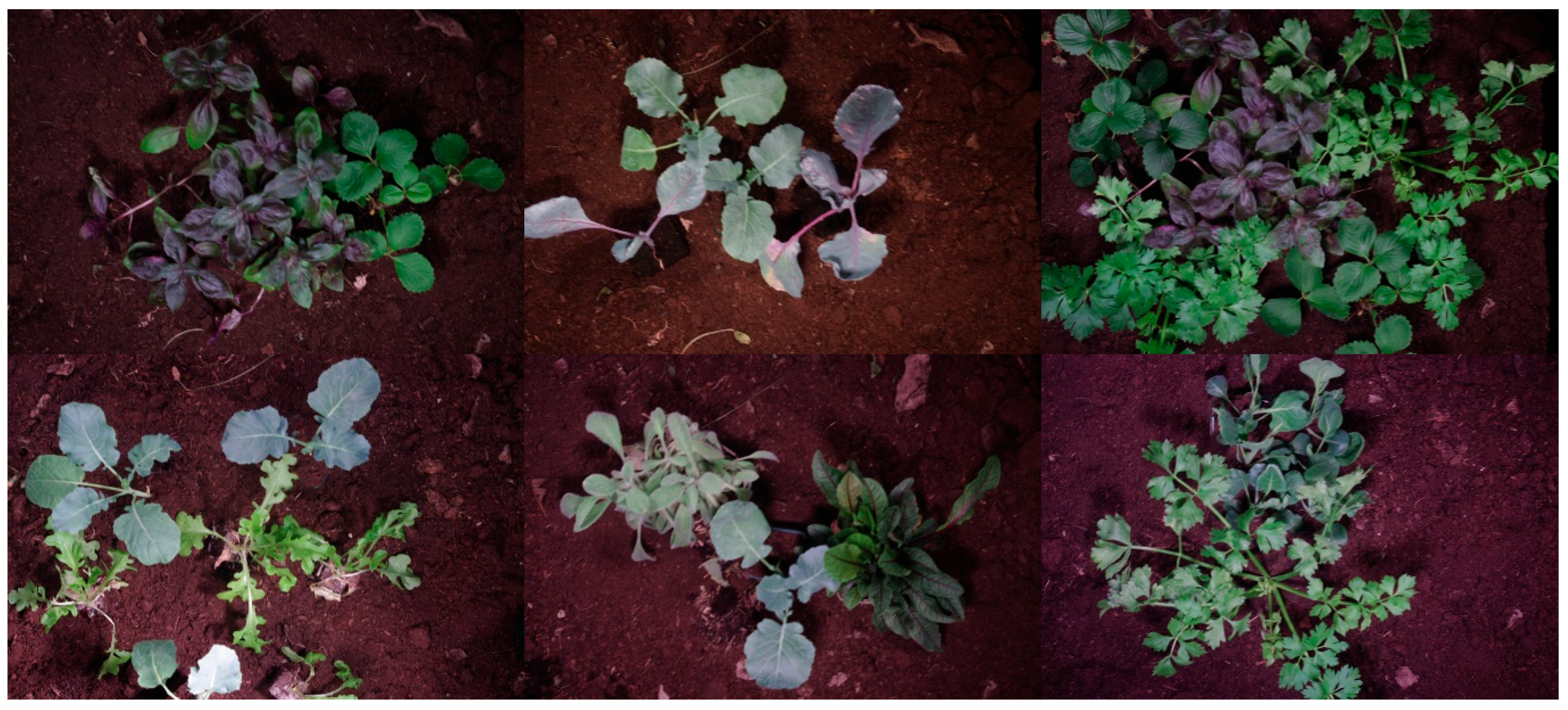 Jimaging 12 00002 g002