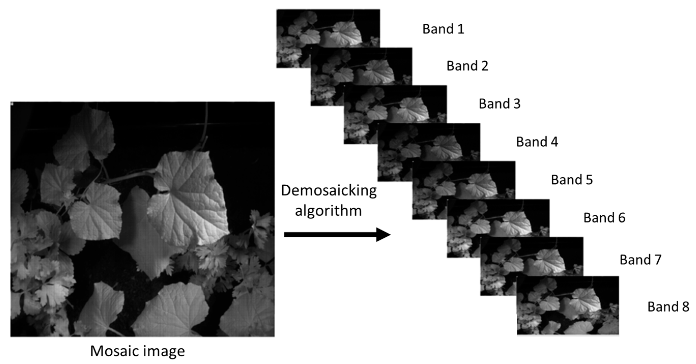 Jimaging 12 00002 g004