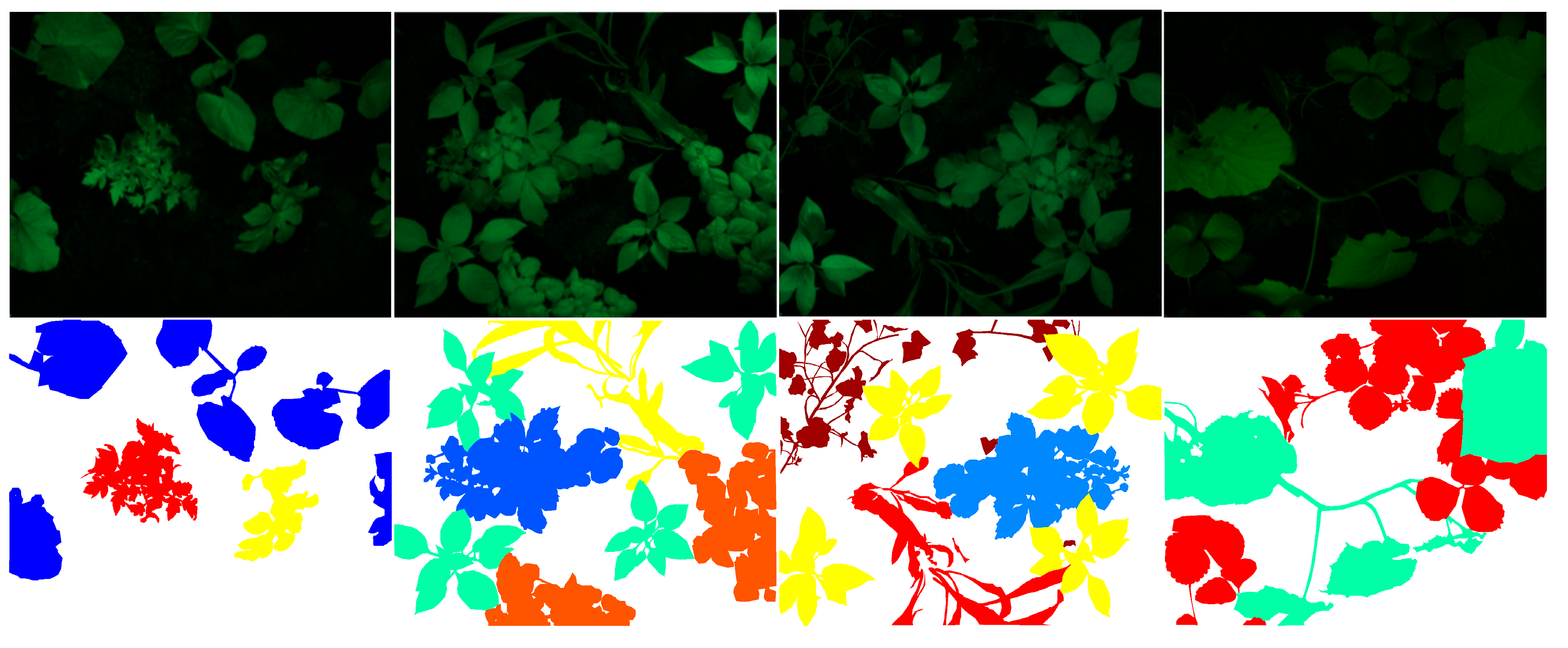 Jimaging 12 00002 g005