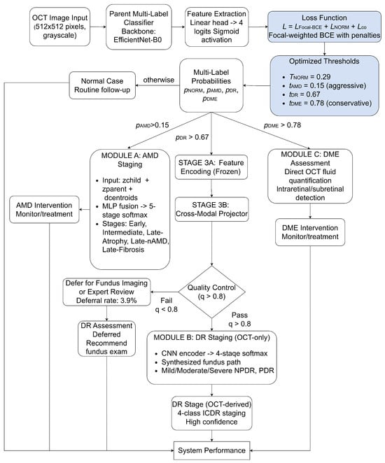 Architecture and hybrid workflow of the HMS system. White blocks represent the online inference pipeline, which includes modules activated during patient diagnosis. Shaded blocks denote offline optimization components, including loss functions and calibrated thresholds determined during training. Here, 
  
    p
    AMD
  
, 
  
    p
    DR
  
, 
  
    p
    DME
  
, are independent probabilities of diseases under consideration, and q is the cross-modal bridge projection (q).