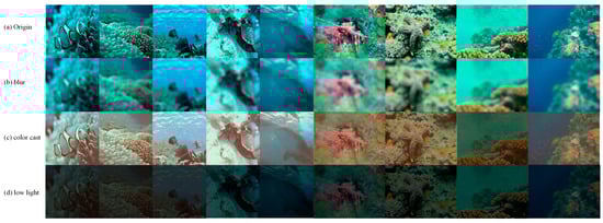 Example images illustrating the three targeted degradation types synthesized from the EUVP dataset: (a) Origin clear reference; (b) blur; (c) color cast; (d) low light.