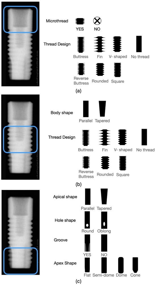 Categorization of (a) the coronal portion’s design based on bone or tissue level, the existence of microthreads, and the specific thread design, (b) the middle section’s design based on the shape of the body and the specific thread design, and (c) the design for the apical portion based on the shape of the apical hole, the configuration of the apical body, the presence of a groove, and the shape of the apex.
