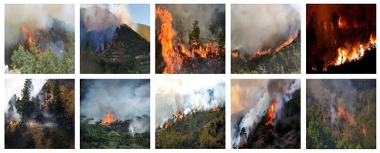 Sample images from the UFFD.