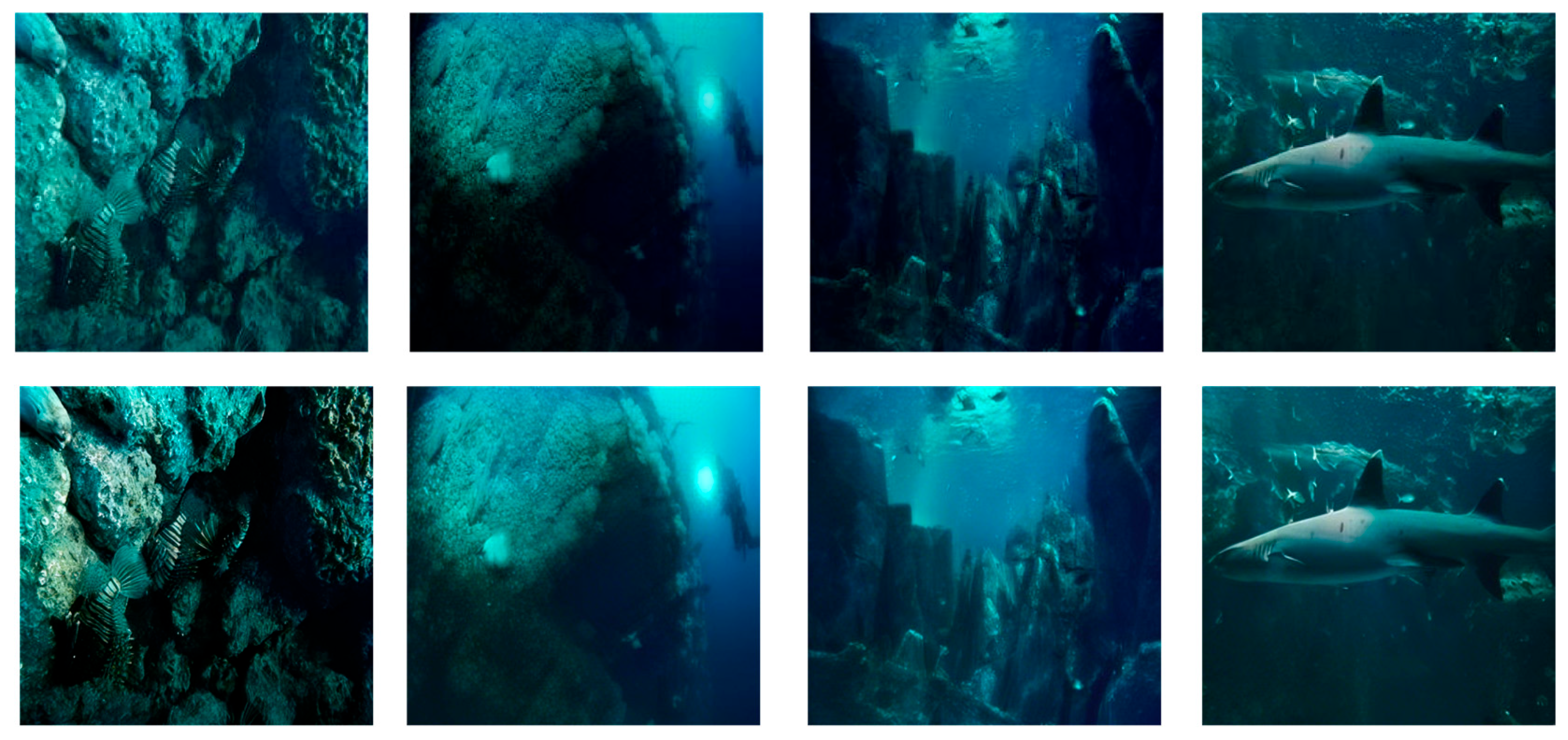 Jimaging 12 00044 g008