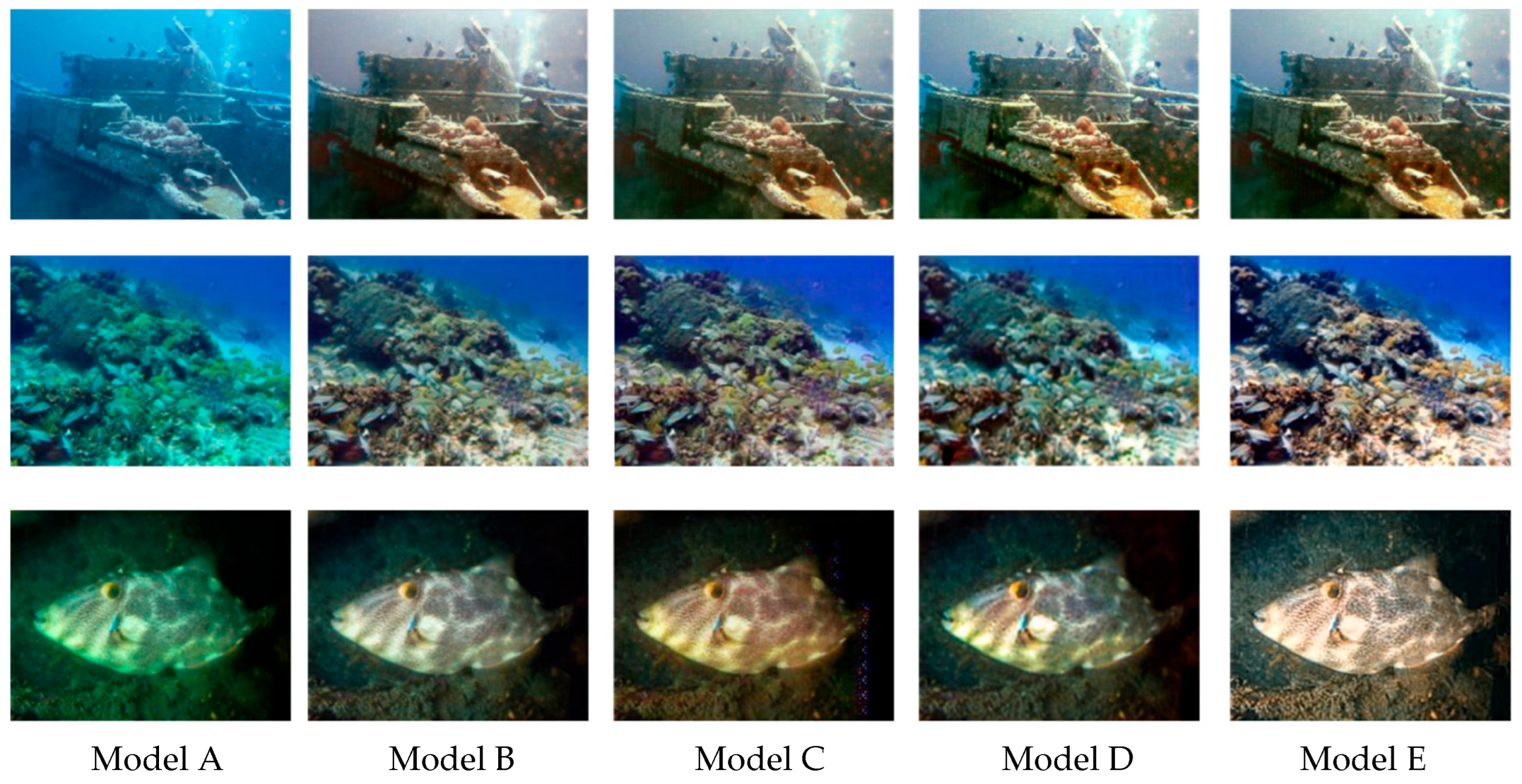 Jimaging 12 00044 g011