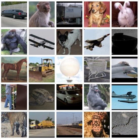 Example images from the STL-10 dataset used for embedding and nearest neighbor analysis.
