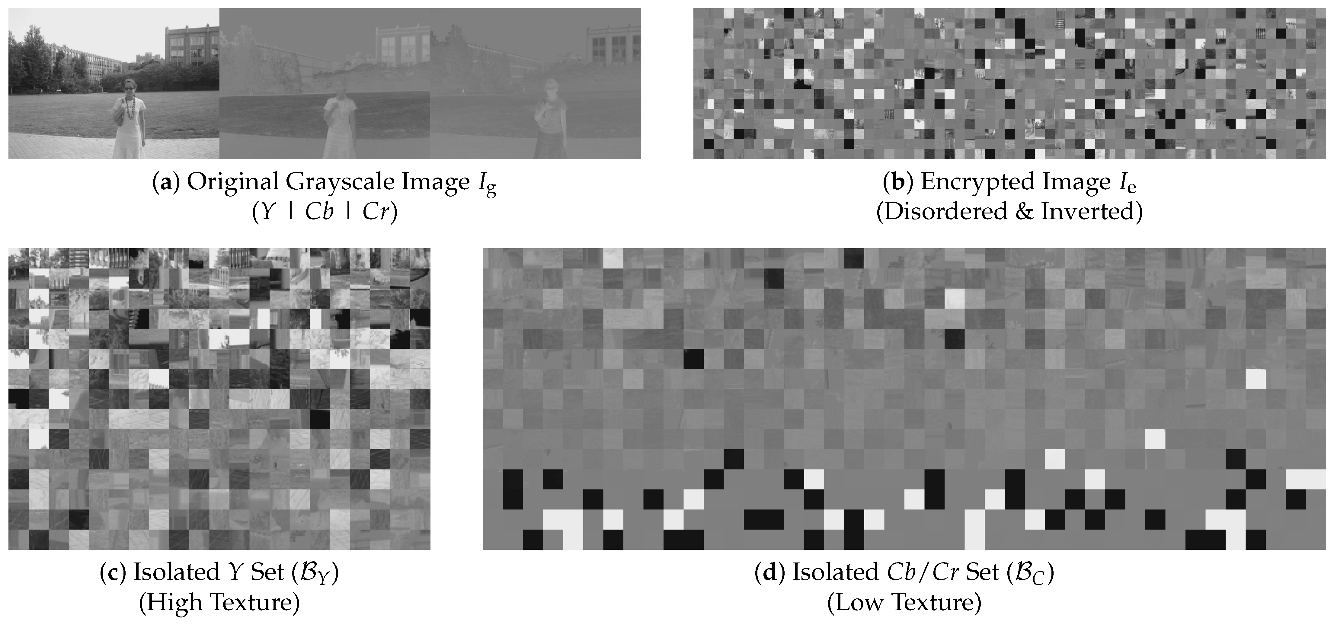 Jimaging 12 00065 g007