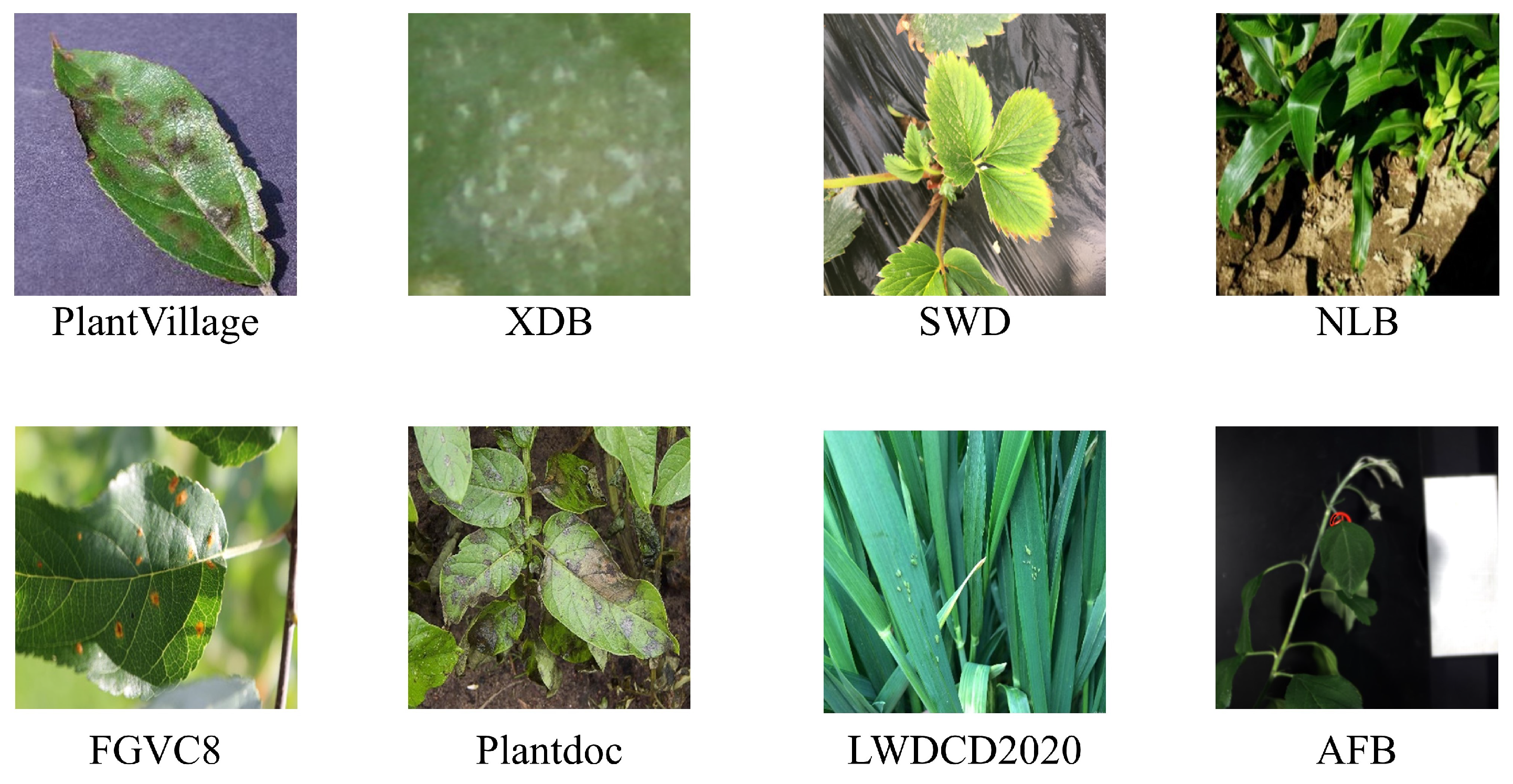 Jimaging 12 00066 g002