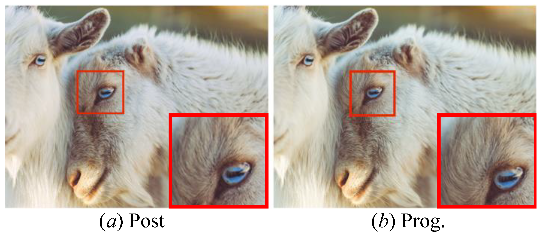 Jimaging 12 00079 g010