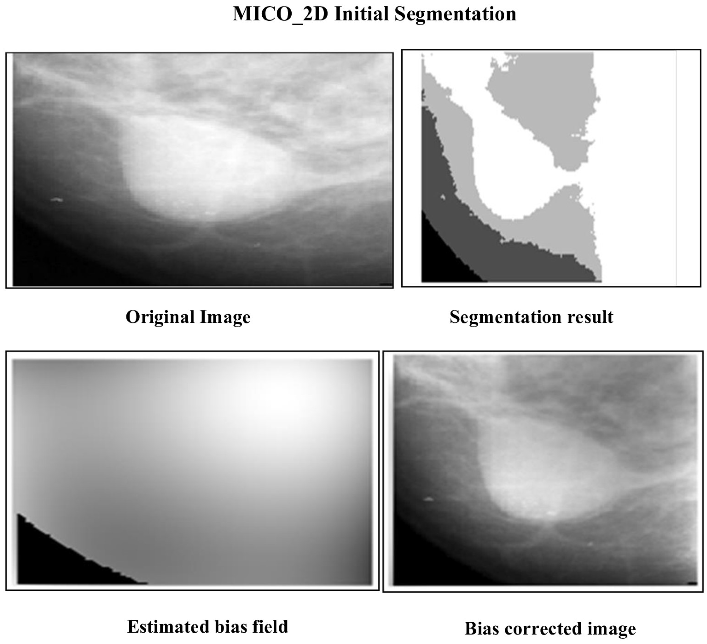 Jimaging 12 00095 g002
