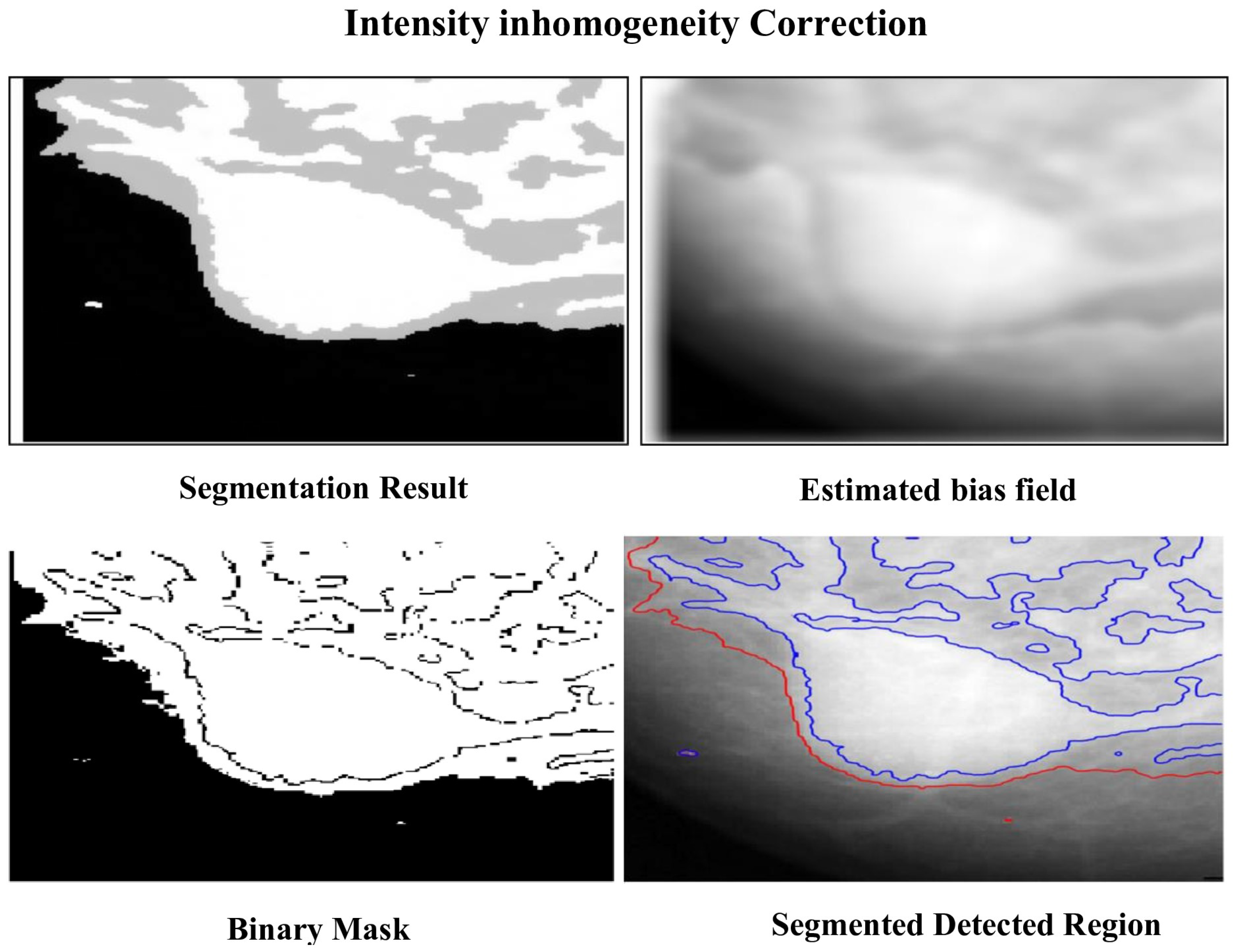 Jimaging 12 00095 g003