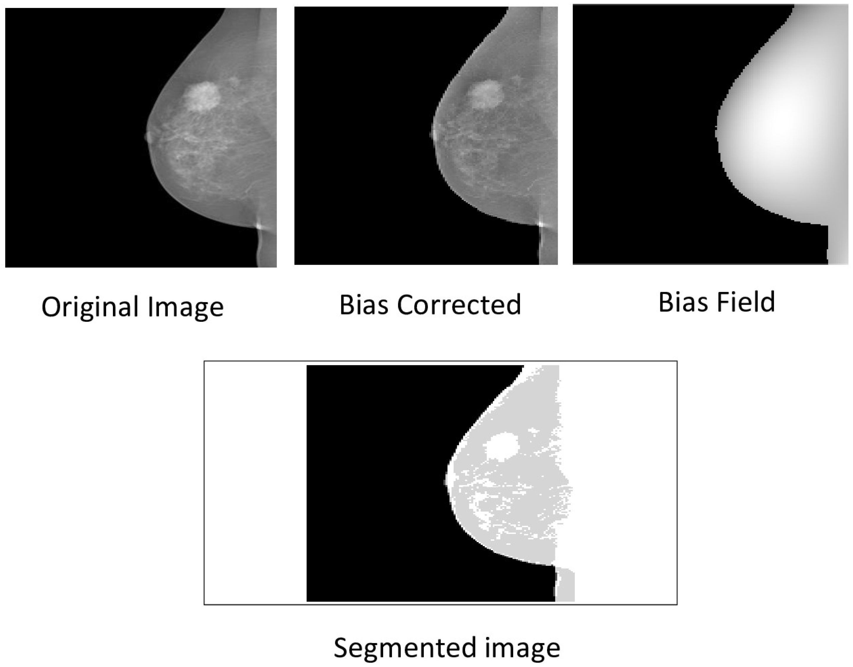 Jimaging 12 00095 g014