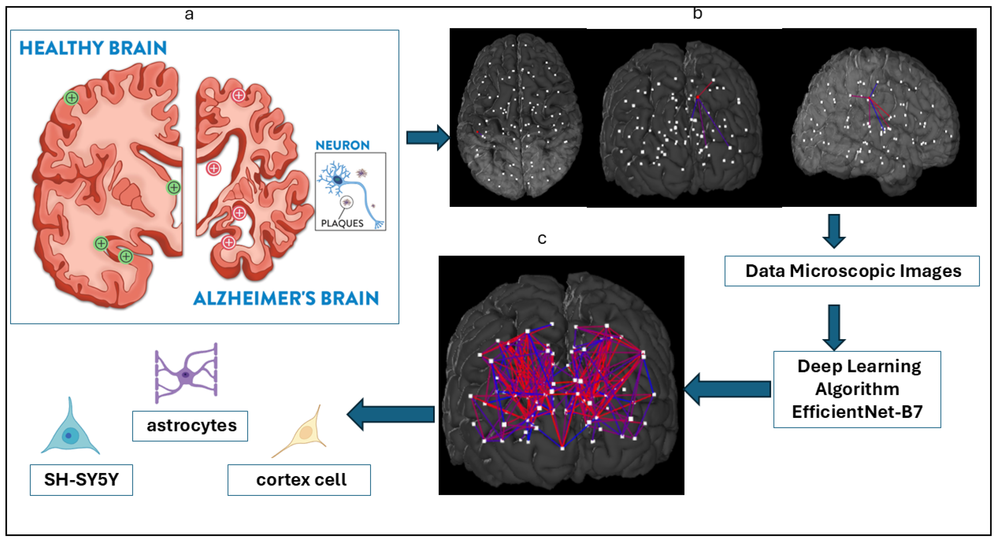 Jimaging 12 00098 g001