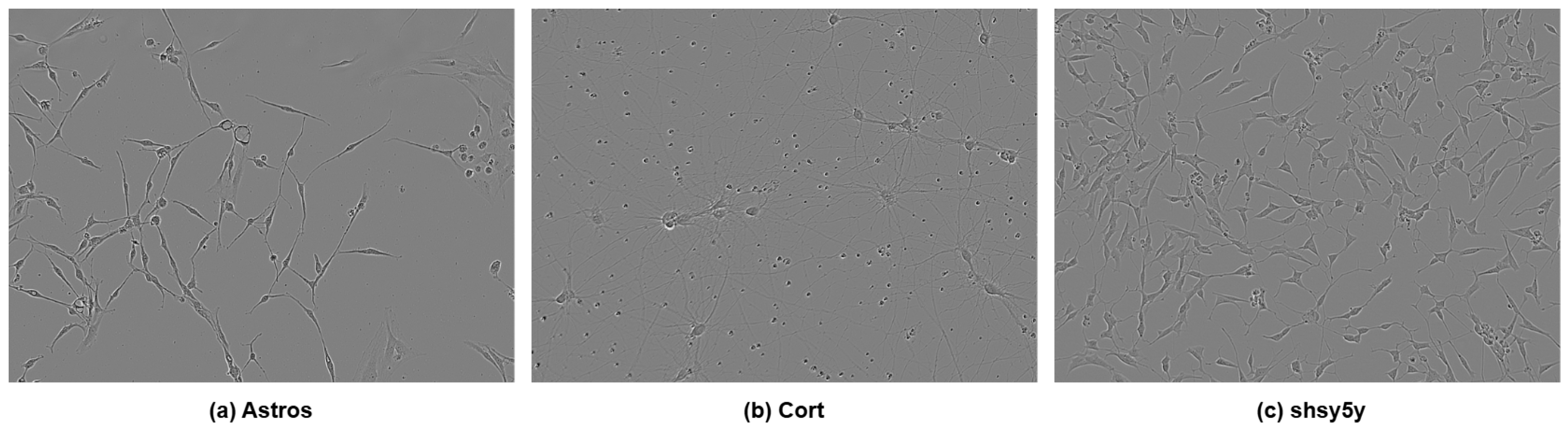 Jimaging 12 00098 g002