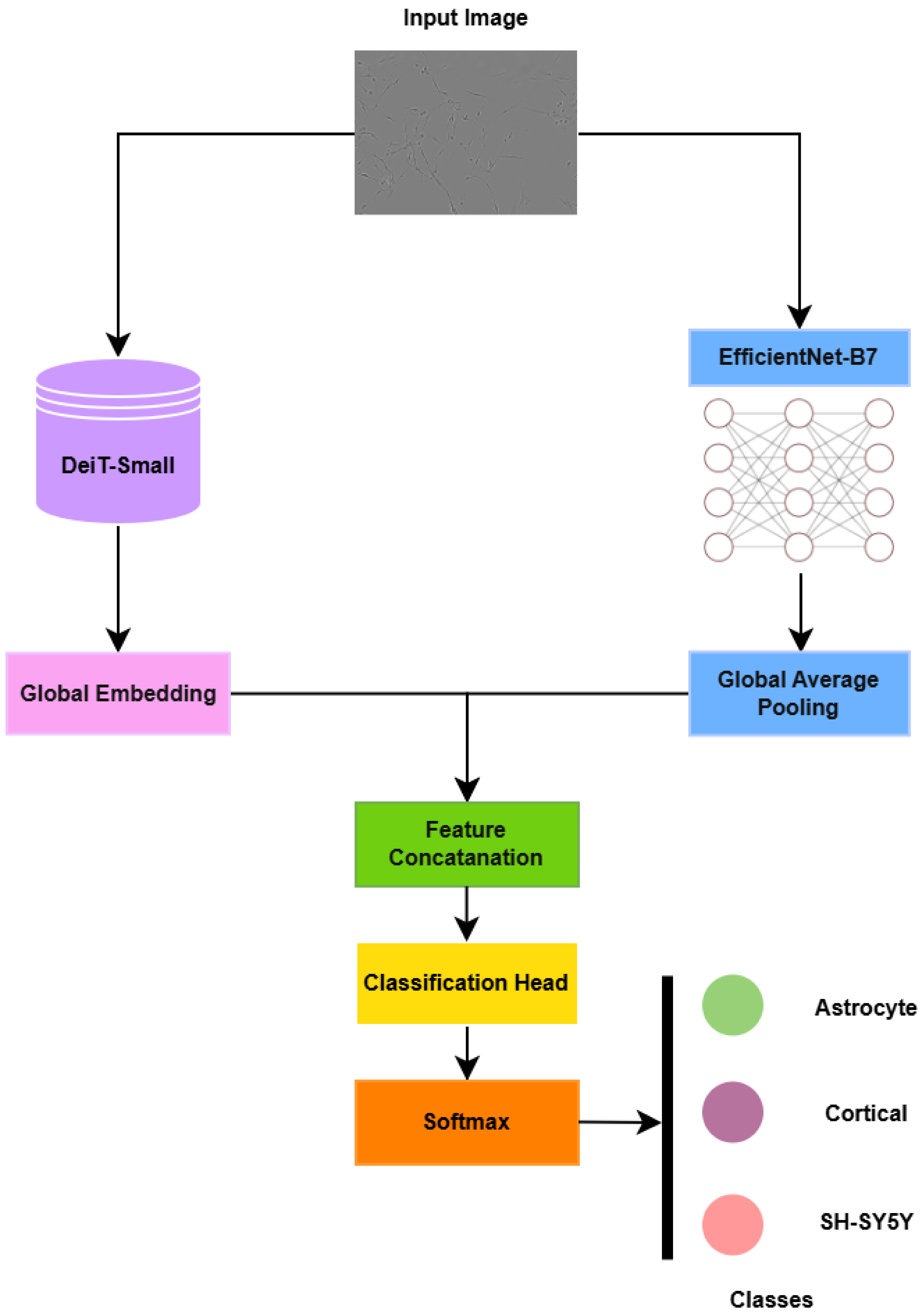 Jimaging 12 00098 g004