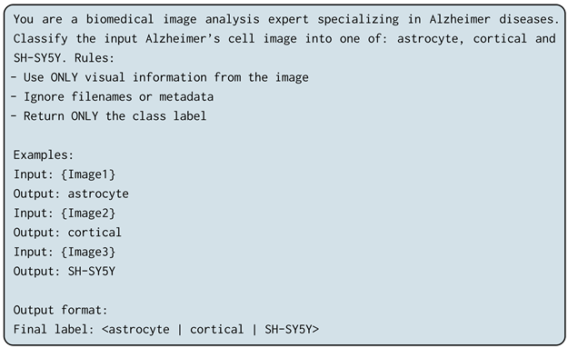 Jimaging 12 00098 i002